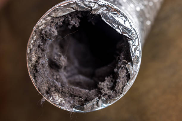 Best Air Duct Sanitizing Services  in Lookout Mountain, AL
